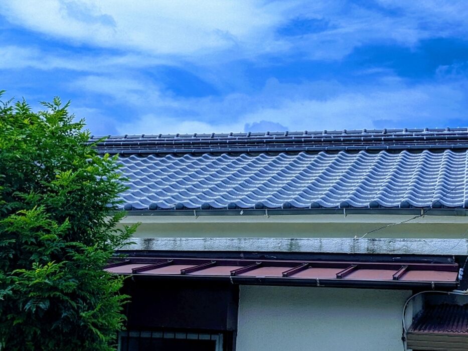 画像1399
