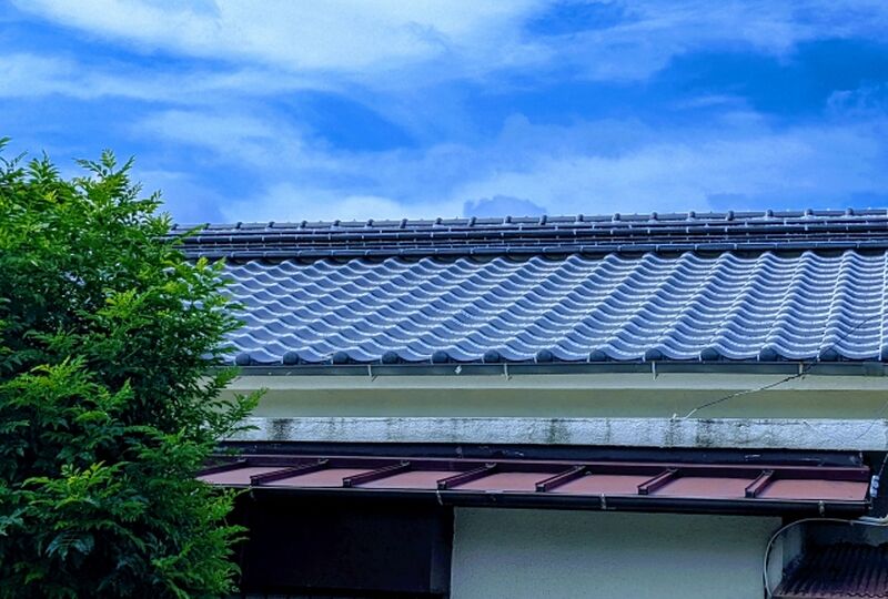 画像1401