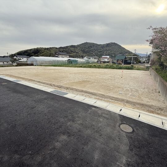 画像2295
