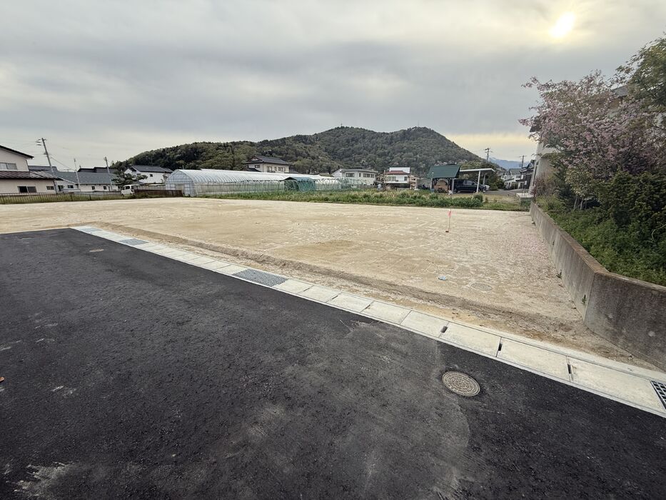 画像2295